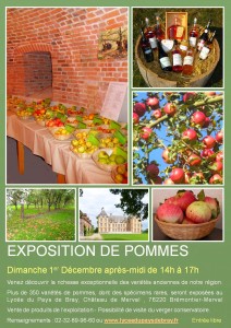 expo pommes 2013 saturé (2)