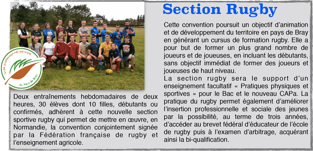 section_rugbybr